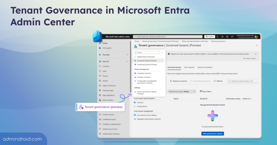 Microsoft Entra Tenant Governance