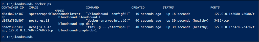 Check the health status of docker
